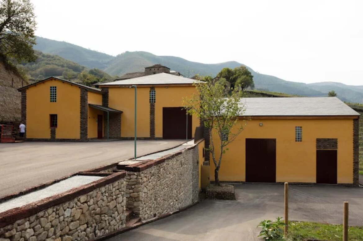 Neue Kellerei inmitten alter Reben