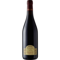 Montepulciano d'Abruzzo DOC
Marina Cvetic,  Masciarelli