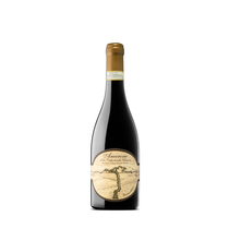 Amarone della Valpolicella DOCG classico, Riserva
Terre di Leone