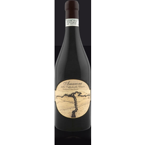 Amarone della Valpolicella DOCG classico
Terre di Leone