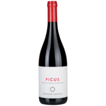 Picus Superiore Piceno rosso DOP
Azienda Agricola Simone Capecci